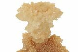 Fascinating Cave Calcite Mushroom Stalactite - Wenshan Mine #223546-4